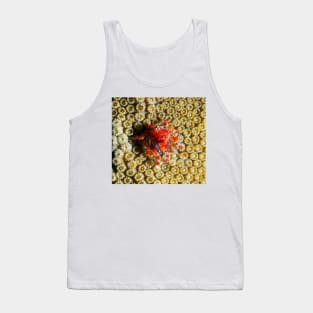 Cryptic Teardrop Crab Tank Top